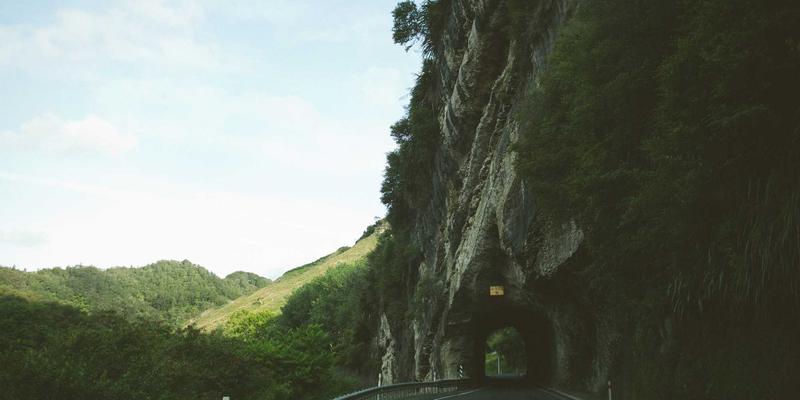 企业礼品定制新风尚：青岛特色农产品高端定制，以王哥庄大馒头与马家沟芹菜为例