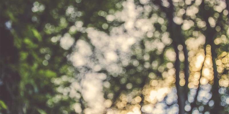 青岛企业商务伴手礼定制指南：如何选择兼具城市特色与品牌价值的个性化礼品