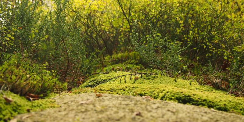 青岛帆船之都主题金属徽章定制工艺解析：创意礼品设计与城市文化的完美融合