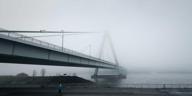 青岛特色海鲜干货礼品定制包装设计指南：打造品德与创意兼备的商务伴手礼