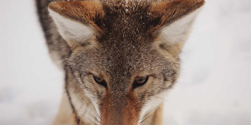 青岛礼品定制69：企业礼品定制如何通过个性化与创意设计赢得市场