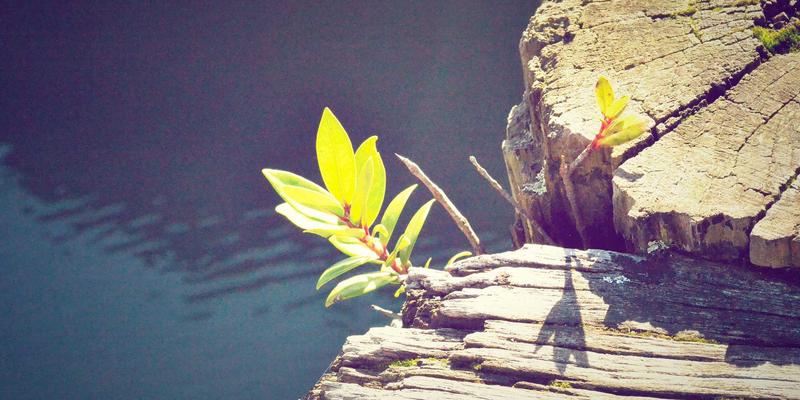 青岛礼品定制94：以品德为核，创意为形，打造专属情感纽带