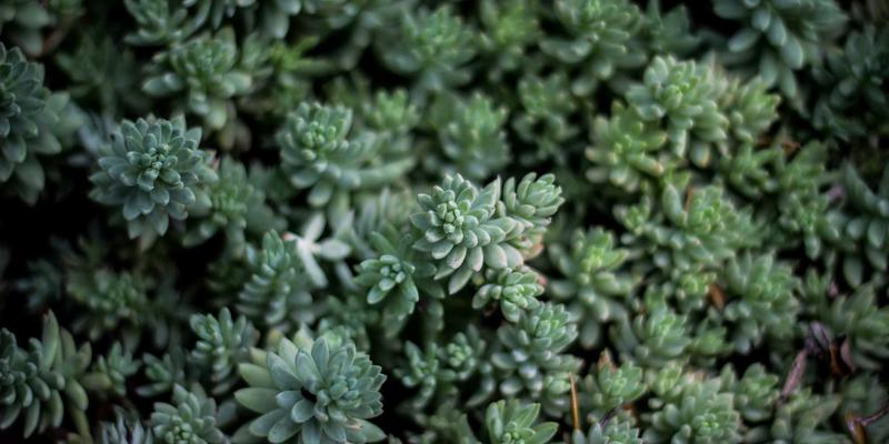 青岛礼品定制全攻略：掌握三大技巧打造个性化创意好礼