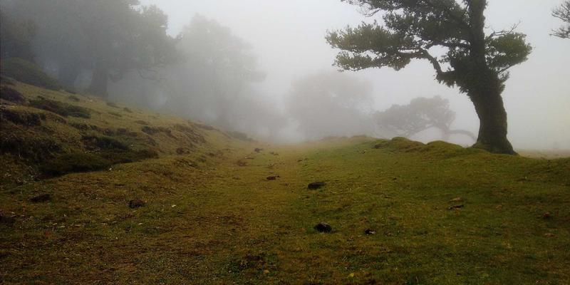 青岛礼品定制:品德礼品如何赋能企业品牌与情感连接
