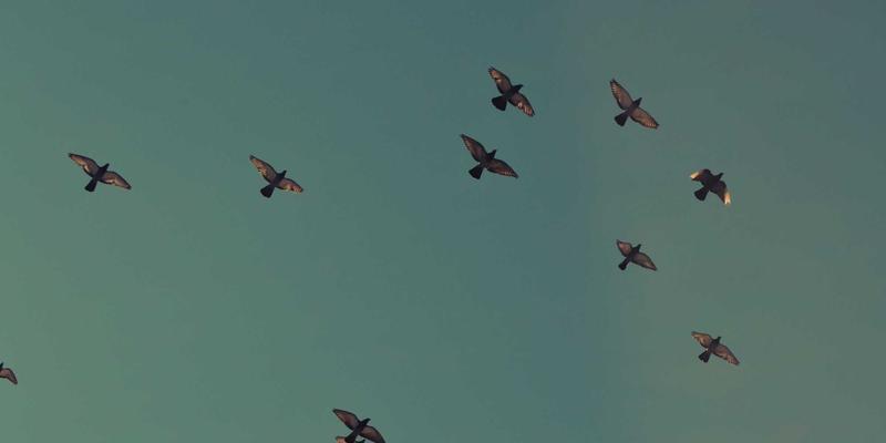 青岛礼品定制新趋势:品德礼品如何以个性化设计赢得市场