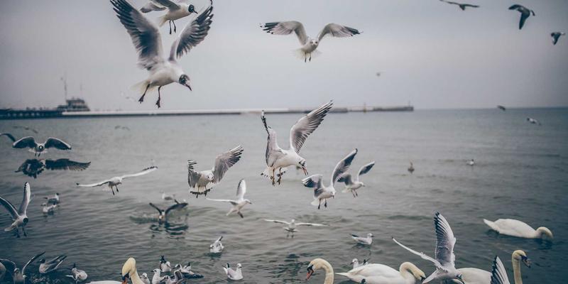 青岛礼品定制:用个性化与创意设计打造城市专属记忆