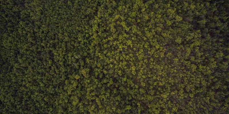 青岛高端酒店客房赠品定制：以个性化礼品与创意设计提升宾客体验与城市印象